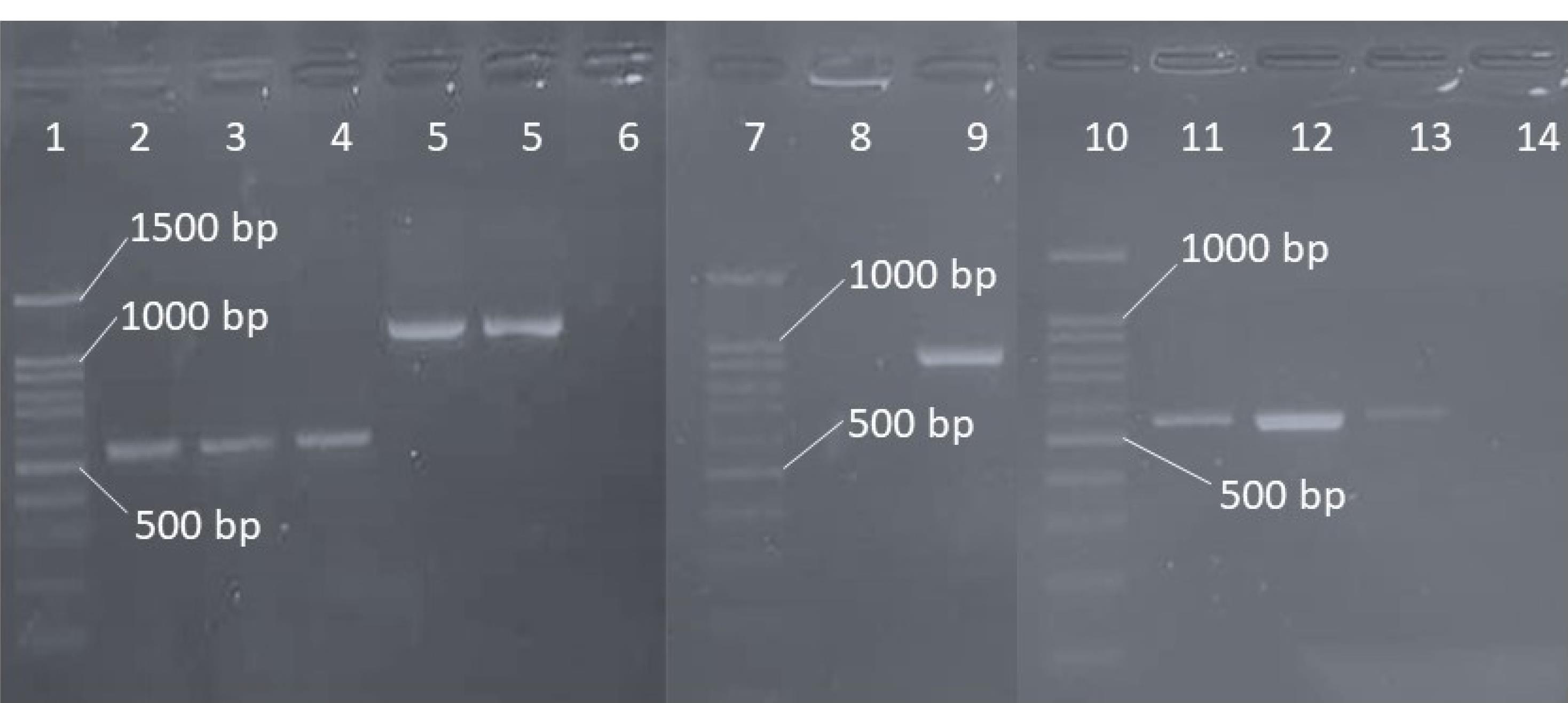 ajcmi-11-113-g001