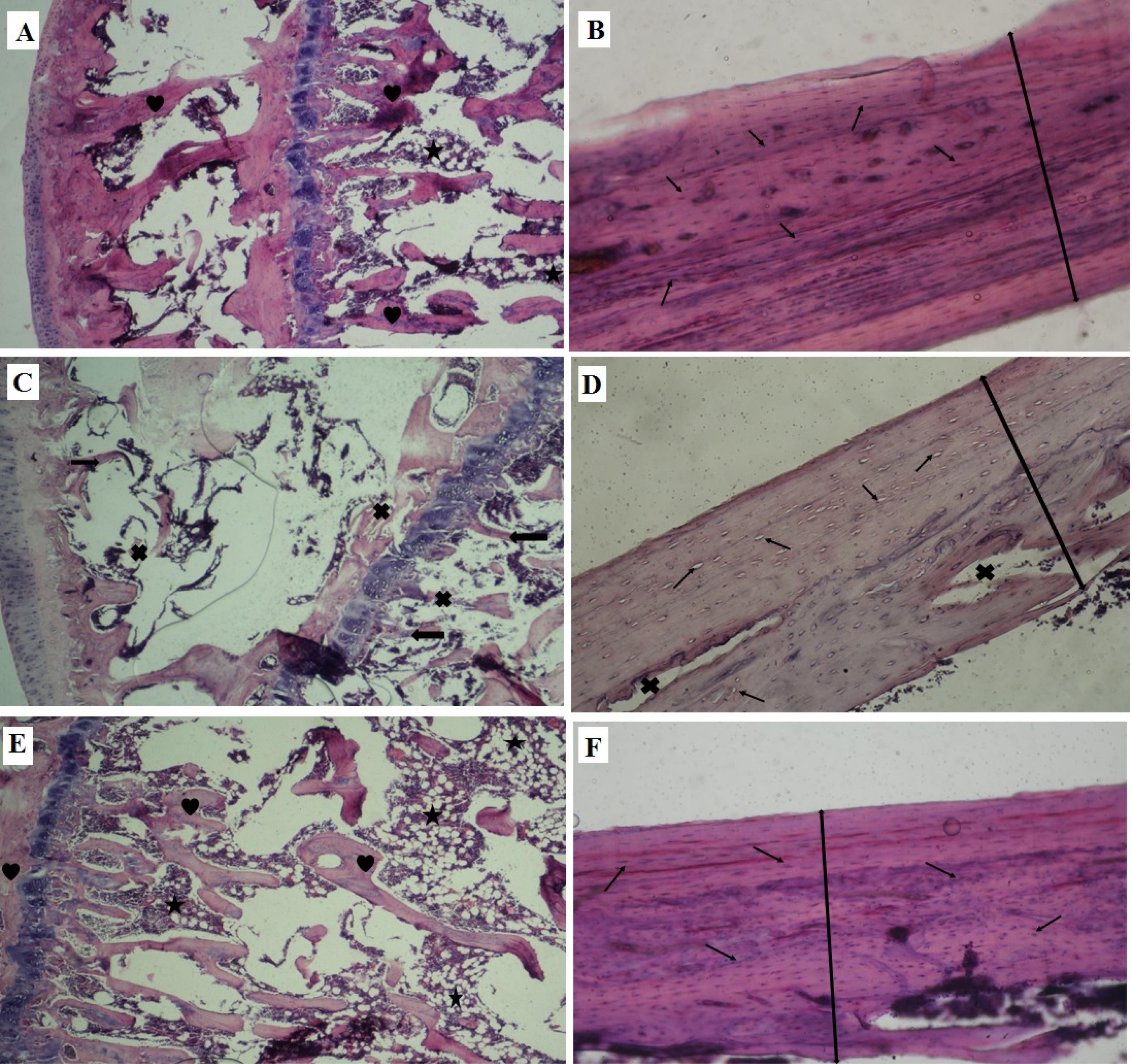 ajcmi-11-119-g003