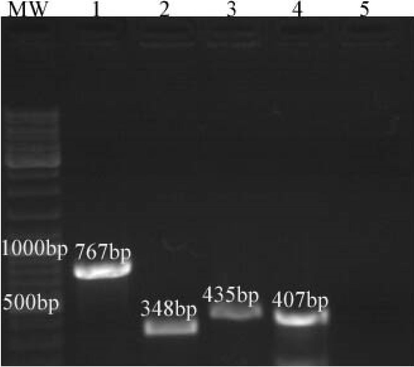 ajcmi-11-125-g001