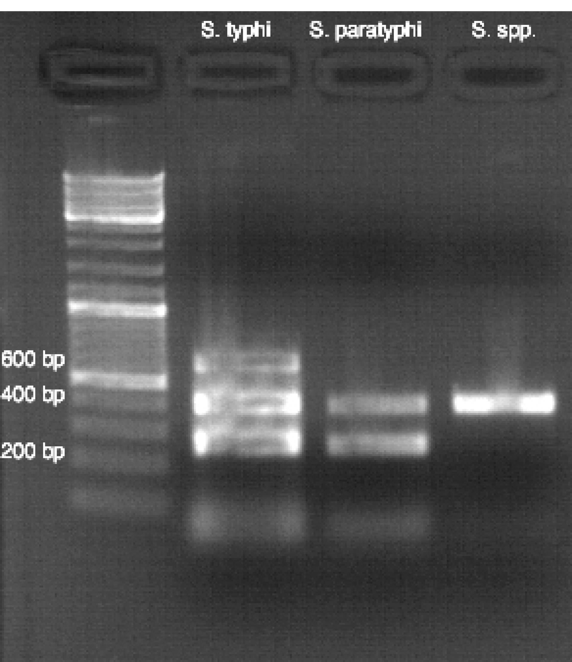 ajcmi-11-156-g001
