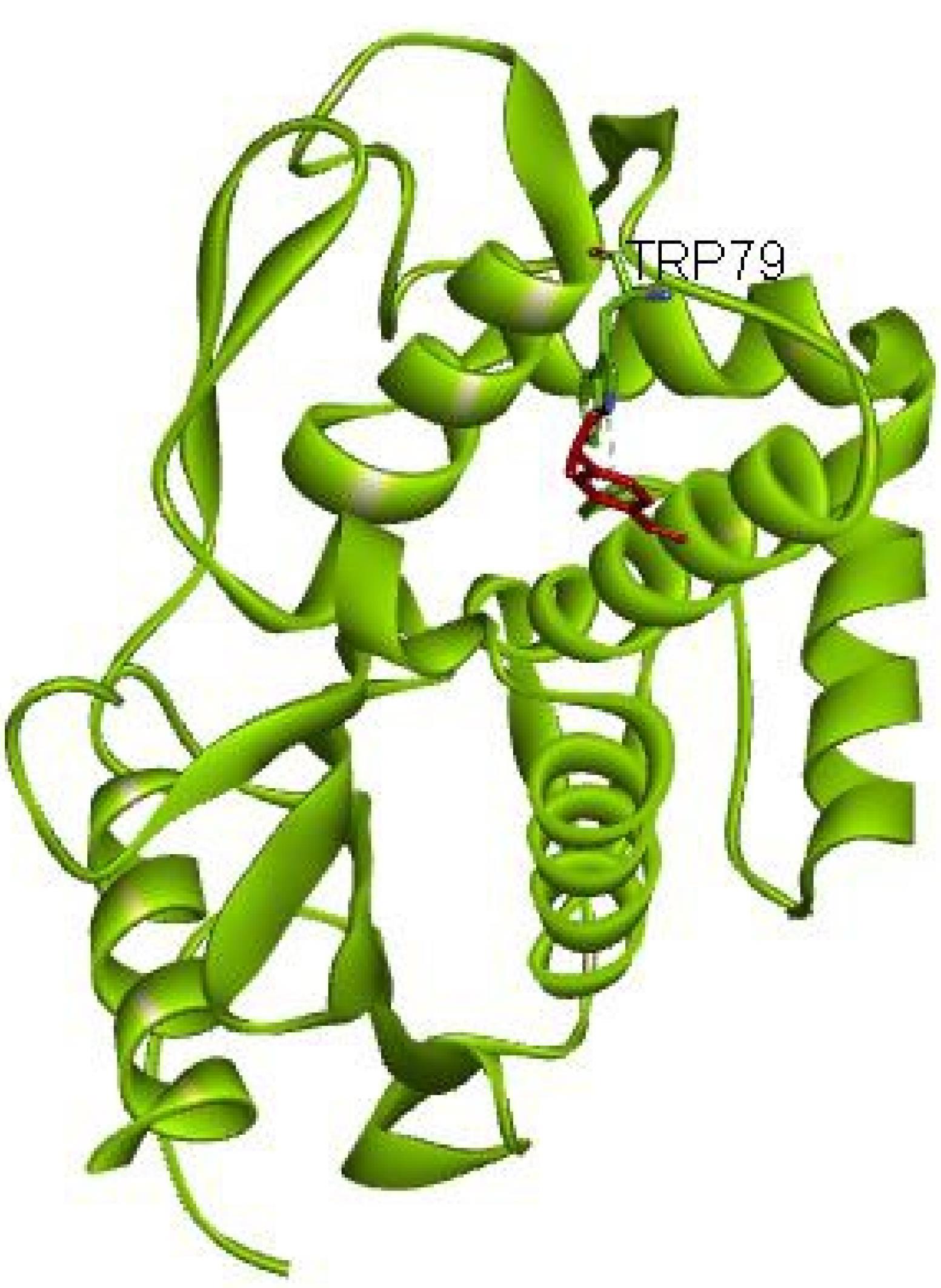 ajcmi-11-163-g001