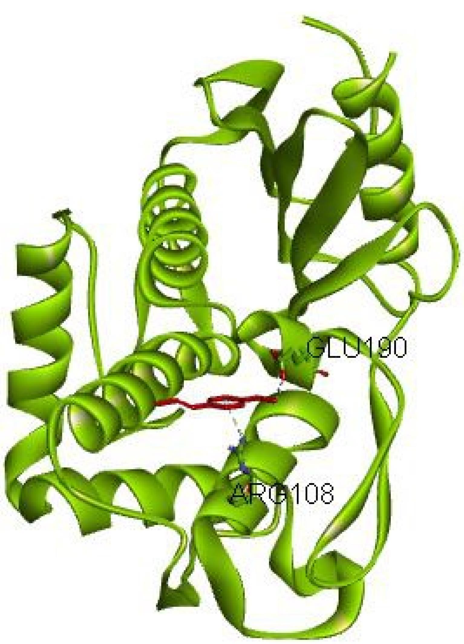 ajcmi-11-163-g002