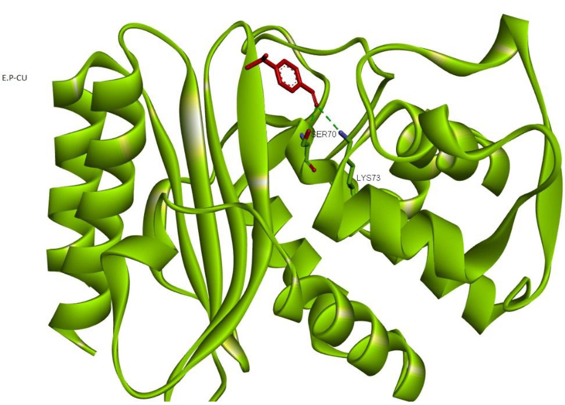 ajcmi-11-163-g003