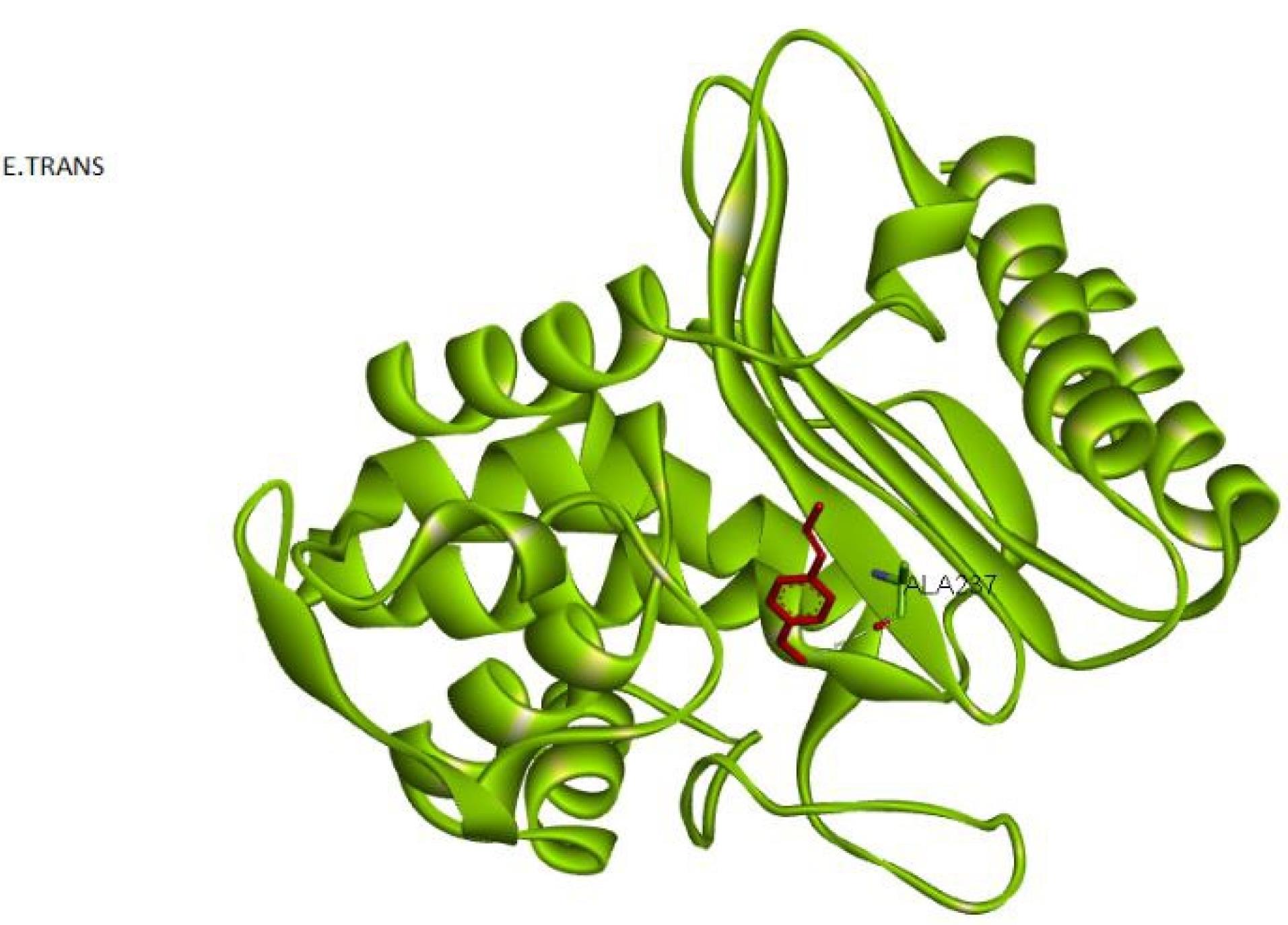 ajcmi-11-163-g004