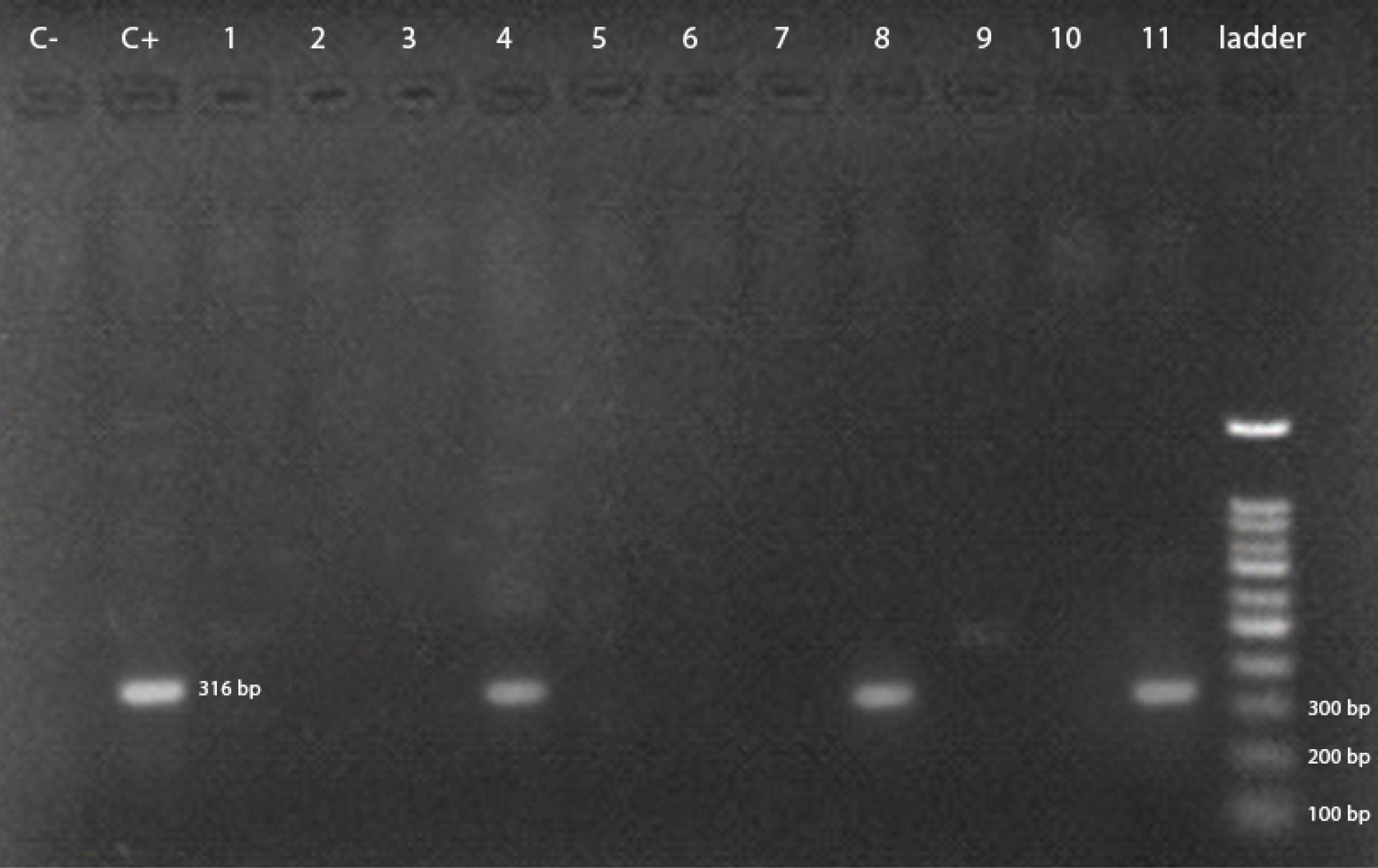 ajcmi-11-171-g001