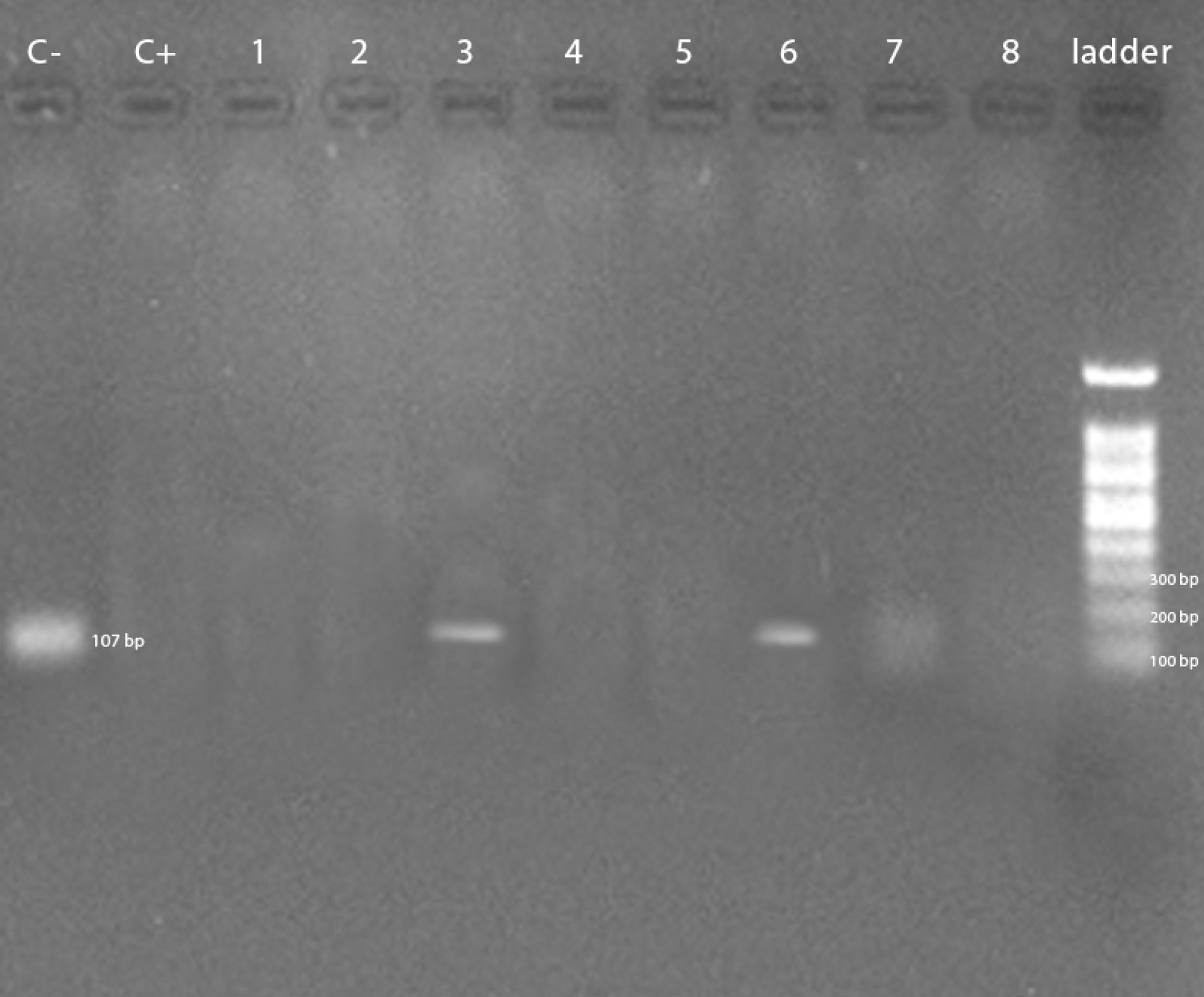 ajcmi-11-171-g002