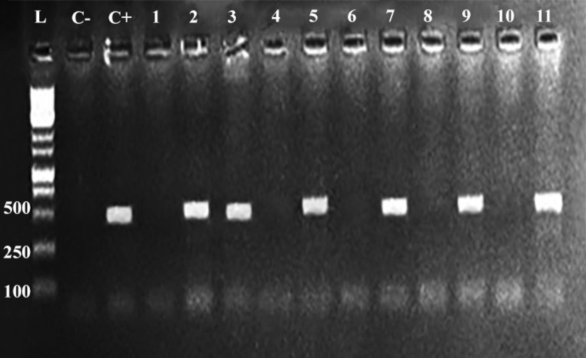 ajcmi-11-171-g003