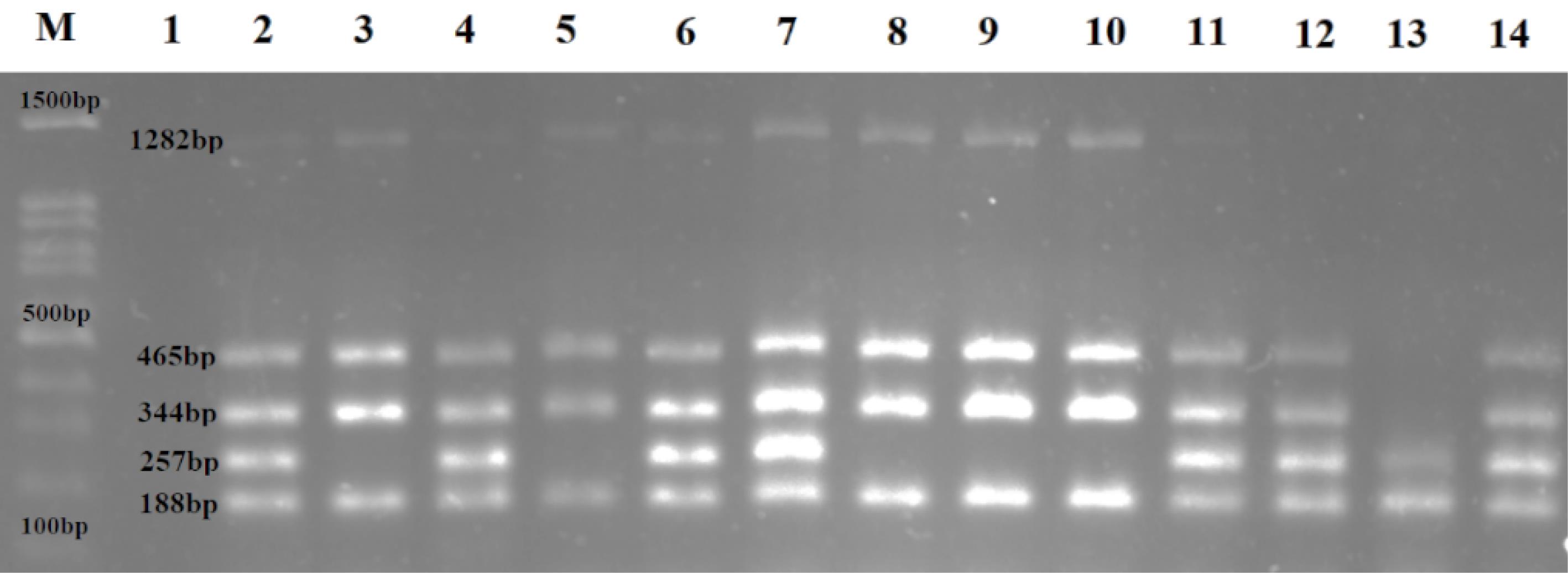 ajcmi-12-173-g002