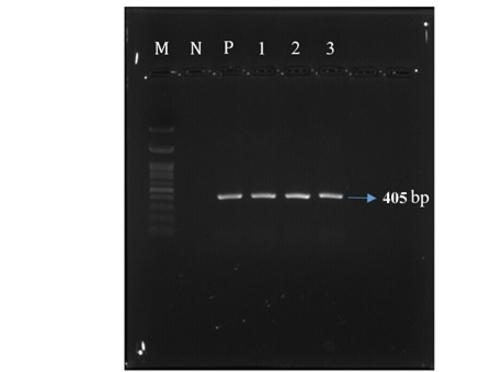 ajcmi-12-231-g002