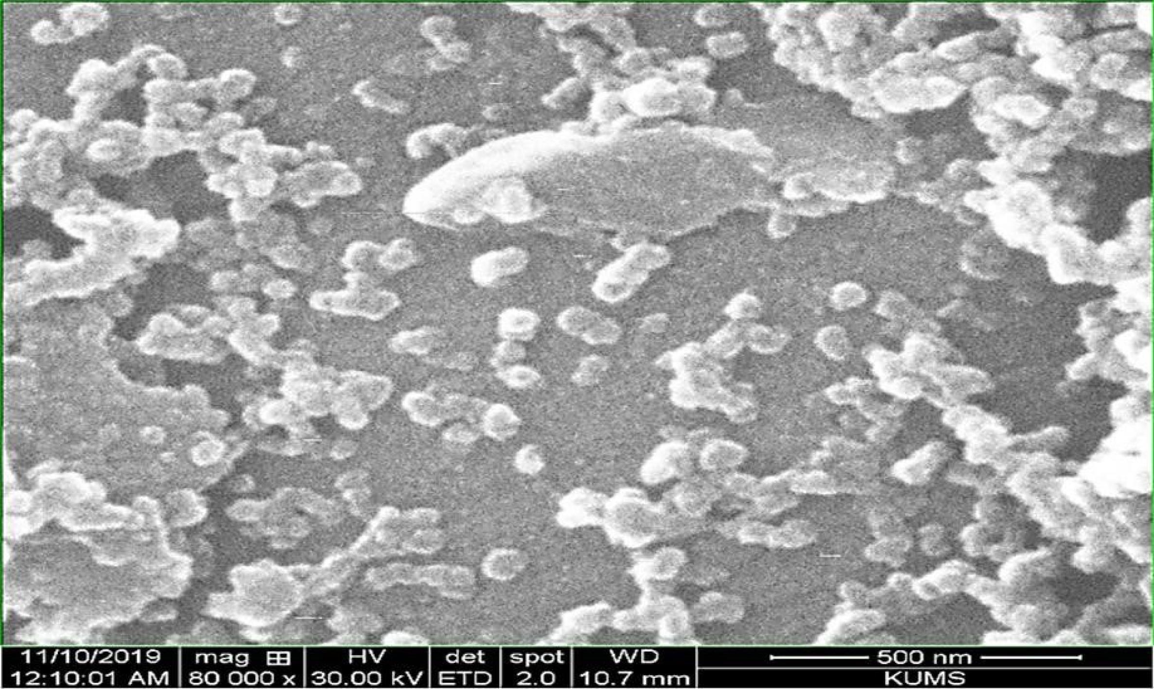 ajcmi-12-34-g005