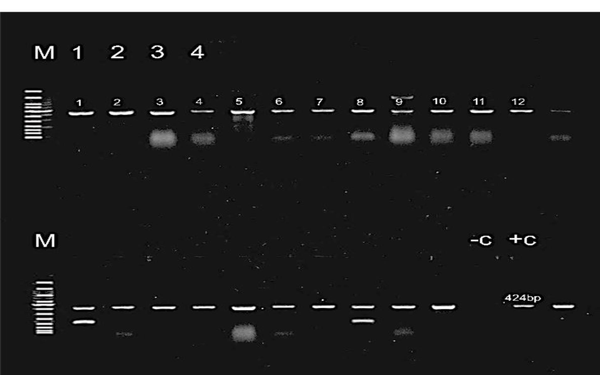ajcmi-12-61-g002