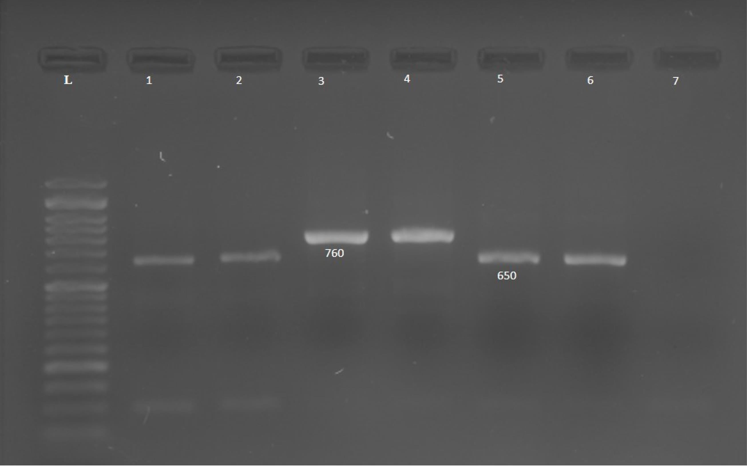 ajcmi-12-86-g002