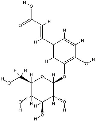 ajcmi-8-145-g005