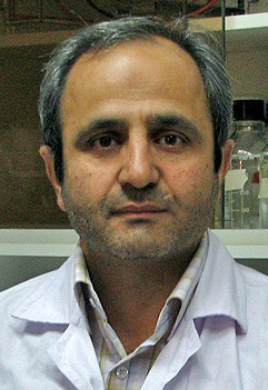 Mohammad Mehdi Feizabadi